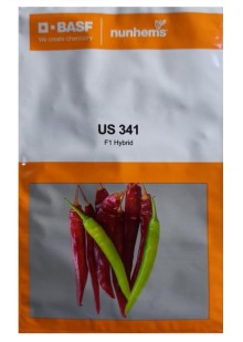 US 341 Chilli